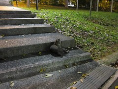 Canon PowerShot S90 - Low light performance