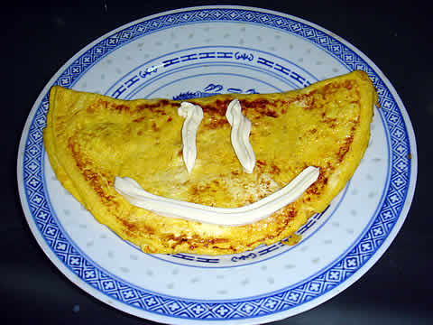 onion_omelette_25042009 onion_omelette_25042009