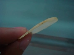 potatochipsmaker_05 potatochipsmaker_05