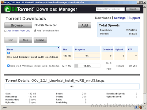rnd2000bt_03 ReadyNAS - multiple torrent downloads